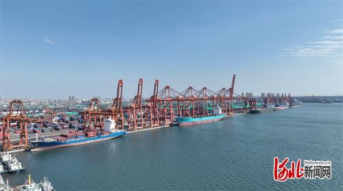 首航 河北港口集团开通首条东南亚集装箱国际航线
